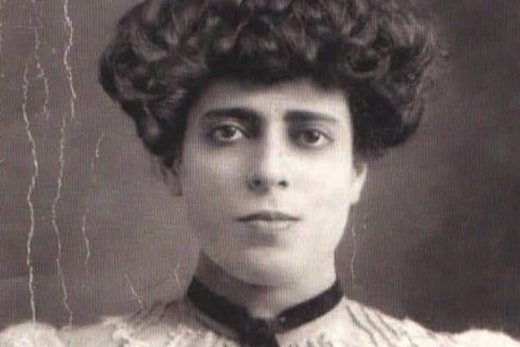 Ma. Enriqueta Camarillo: una mujer en la literatura y cultura del siglo XIX