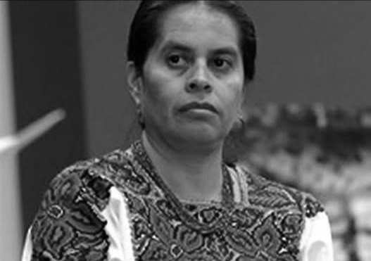 Rebelión contra el olvido. Semblanza de María Guadalupe Hernández Dimas